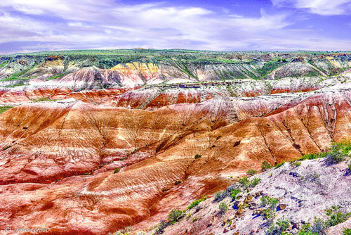 painted desert