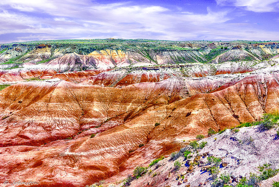 painted desert