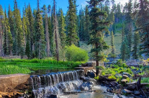 waterfall in forest